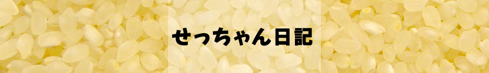 せっちゃん日記