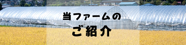 当ファームのご紹介